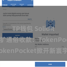 TP钱包 Solidity教程 粗犷通俗收款：TokenPocket掀开新寰宇