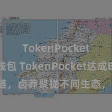 TokenPocket多链钱包 TokenPocket达成BSC跨链，卤莽聚拢不同生态，畅享多链生态福利